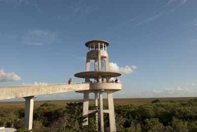 shark valley observation tower